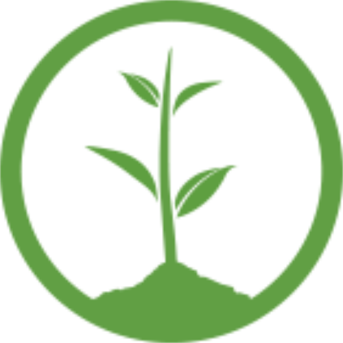 One Tree Planted